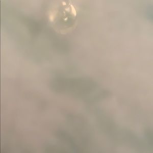 Meet your Posher, Estelle